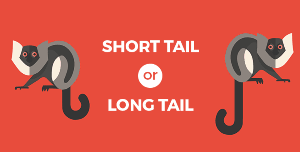 John Piccone Should I Target Short Tail or Long Tail Keywords